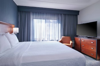 Suite, 1 King Bed with Sofa bed