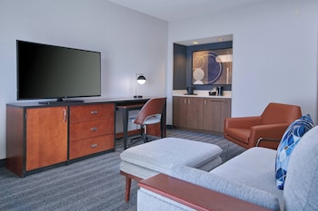 Suite, 1 King Bed with Sofa bed