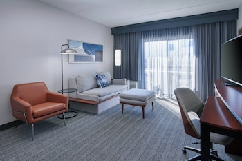 Suite, 1 King Bed with Sofa bed
