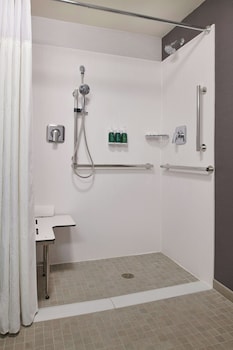 Room, 1 King Bed with Sofa bed (Mobility Accessible, Tub)