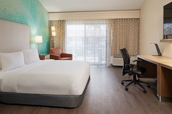 Room, 1 King Bed with Sofa bed
