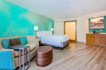 Room, 1 King Bed with Sofa bed