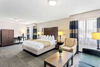 Standard Room, 1 King Bed, Non Smoking, Microwave (with Sofabed)