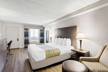 Standard Room, 1 King Bed, Smoking, Refrigerator & Microwave