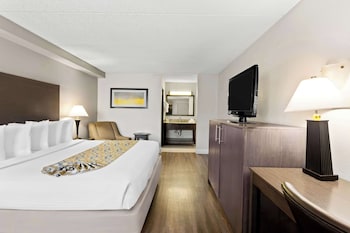 Standard Room, 1 King Bed, Smoking, Refrigerator & Microwave