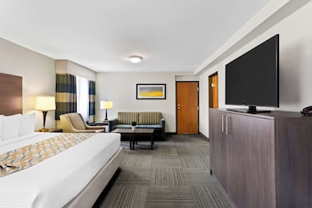 Standard Room, 1 King Bed, Non Smoking, Microwave (with Sofabed)