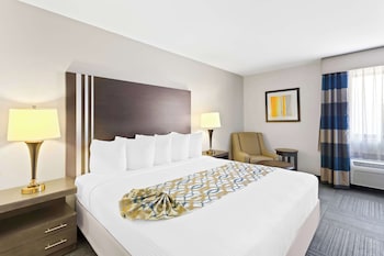Standard Room, 1 King Bed, Non Smoking, Refrigerator & Microwave