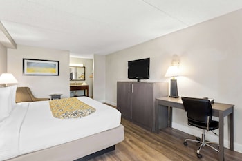 Standard Room, 1 King Bed, Smoking, Refrigerator & Microwave