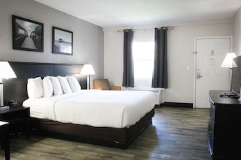 Room, 1 King Bed, Non Smoking