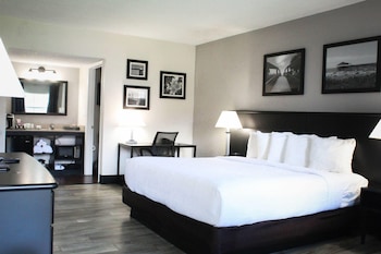 Room, 1 King Bed, Non Smoking