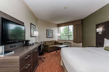 Standard Room, 1 Queen Bed, Non Smoking (with Sofabed)