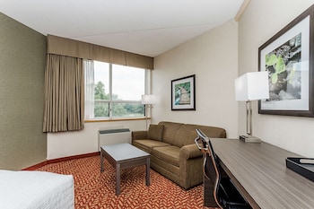 Standard Room, 1 King Bed, Non Smoking (with Sofabed)