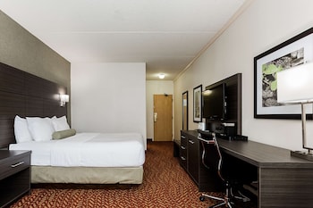 Standard Room, 1 King Bed, Non Smoking (with Sofabed)