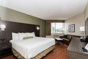 Standard Room, 1 King Bed, Non Smoking (with Sofabed)