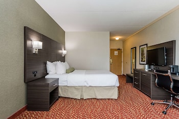 Standard Room, 1 Queen Bed, Non Smoking (with Sofabed)