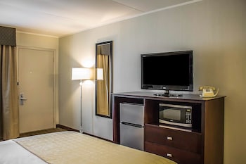 Room, 1 Queen Bed, Non Smoking
