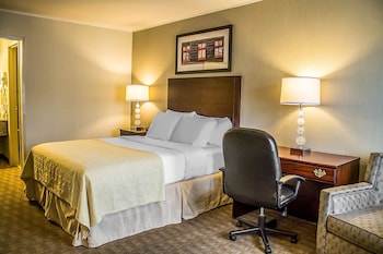 Room, 1 Queen Bed, Non Smoking