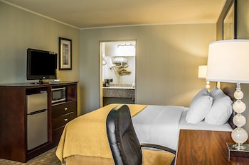 Room, 1 Queen Bed, Non Smoking