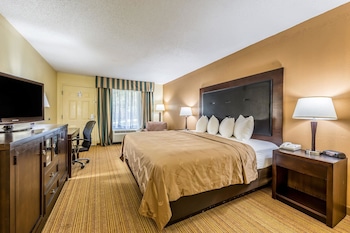 Standard Room, 1 King Bed, Non Smoking