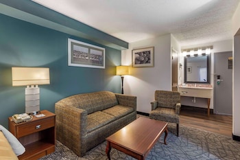 Standard Room, 1 King Bed with Sofa bed, Non Smoking (2 Person Sofabed)