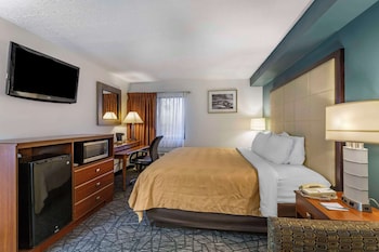 Standard Room, 1 King Bed with Sofa bed, Non Smoking (2 Person Sofabed)