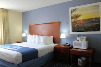 Room, 1 King Bed, Accessible, Non Smoking