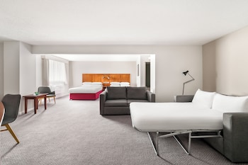 Suite, 1 King Bed with Sofa bed