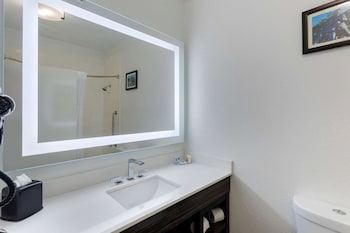 Room, 1 King Bed, Accessible, Non Smoking