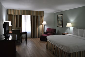 Executive Room, 1 King Bed, Non Smoking