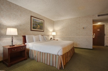 Standard Room, 1 King Bed, Non Smoking