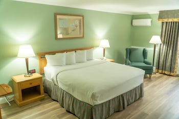 Executive Room, 1 King Bed, Non Smoking