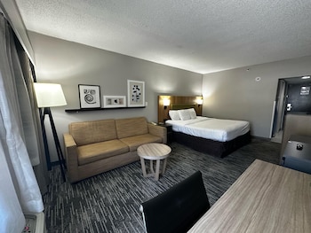 Studio Suite, 1 King Bed with Sofa bed, Non Smoking