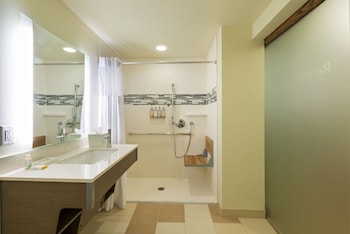 Room, 1 Double Bed, Hearing Accessible (Accessible Shower, Wellness)