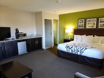 Suite, 1 King Bed with Sofa bed, Non Smoking