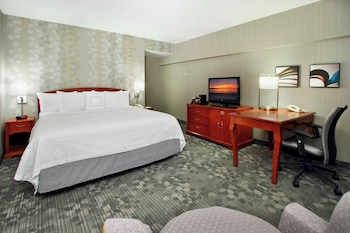 Room, 1 King Bed