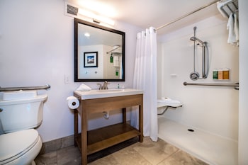 Room, 1 King Bed, Roll-in Shower, Mountain View (Mobility Accessible)