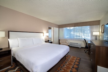 Suite, 1 Bedroom, Mountain View (Pet Friendly)