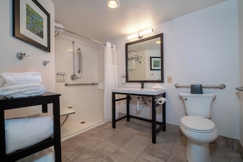 Room, 1 King Bed, Roll-in Shower (Mobility Accessible, Tower 1)