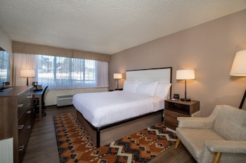Standard Room, 1 King Bed, Mountain View