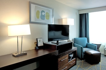 Suite, 1 King Bed