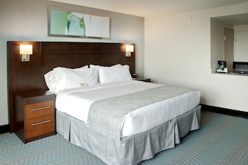 Suite, 1 King Bed with Sofa bed