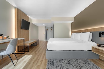 Room, 1 King Bed, Accessible, Non Smoking