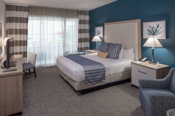 Standard Room, 1 King Bed, Accessible, Ground Floor