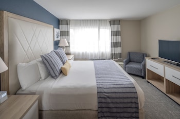 Suite, 1 King Bed with Sofa bed, Refrigerator & Microwave, Bay View
