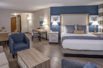 Executive Studio Suite, 1 King Bed with Sofa bed, Balcony, Marina View