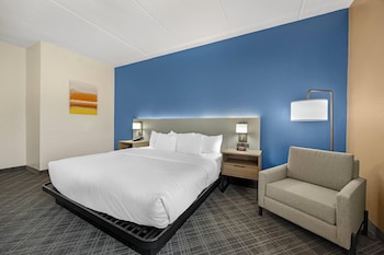 Room, 1 King Bed, Accessible, Non Smoking