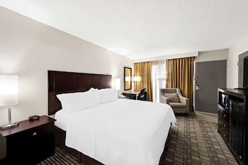 Standard Room, 1 King Bed, Accessible, Non Smoking