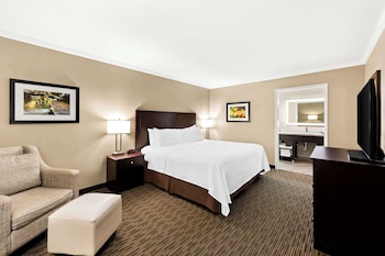 Standard Room, 1 King Bed, Non Smoking, Refrigerator & Microwave (Pet Friendly)
