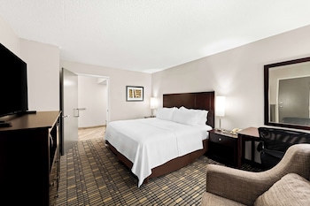 Standard Room, 1 King Bed, Accessible, Non Smoking