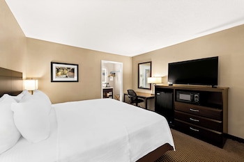 Standard Room, 1 King Bed, Non Smoking, Refrigerator & Microwave (Pet Friendly)